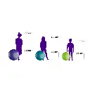 10578617-1ce0-48e4-ab76-ef667ac2b5cf.webp