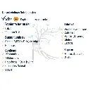 b580ff8d-3a22-49ab-bed6-b791741beca3.webp