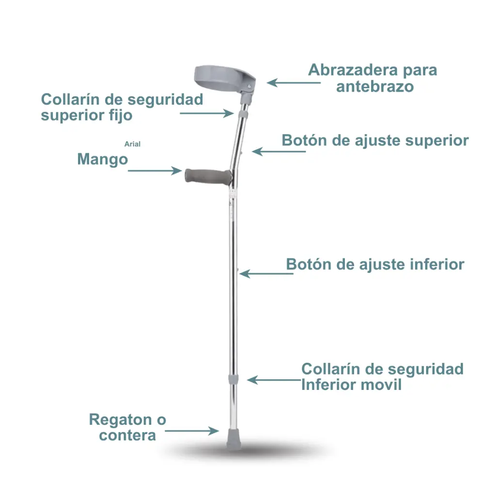 Copia de IMRW-0002 Baston canadiense_3.webp