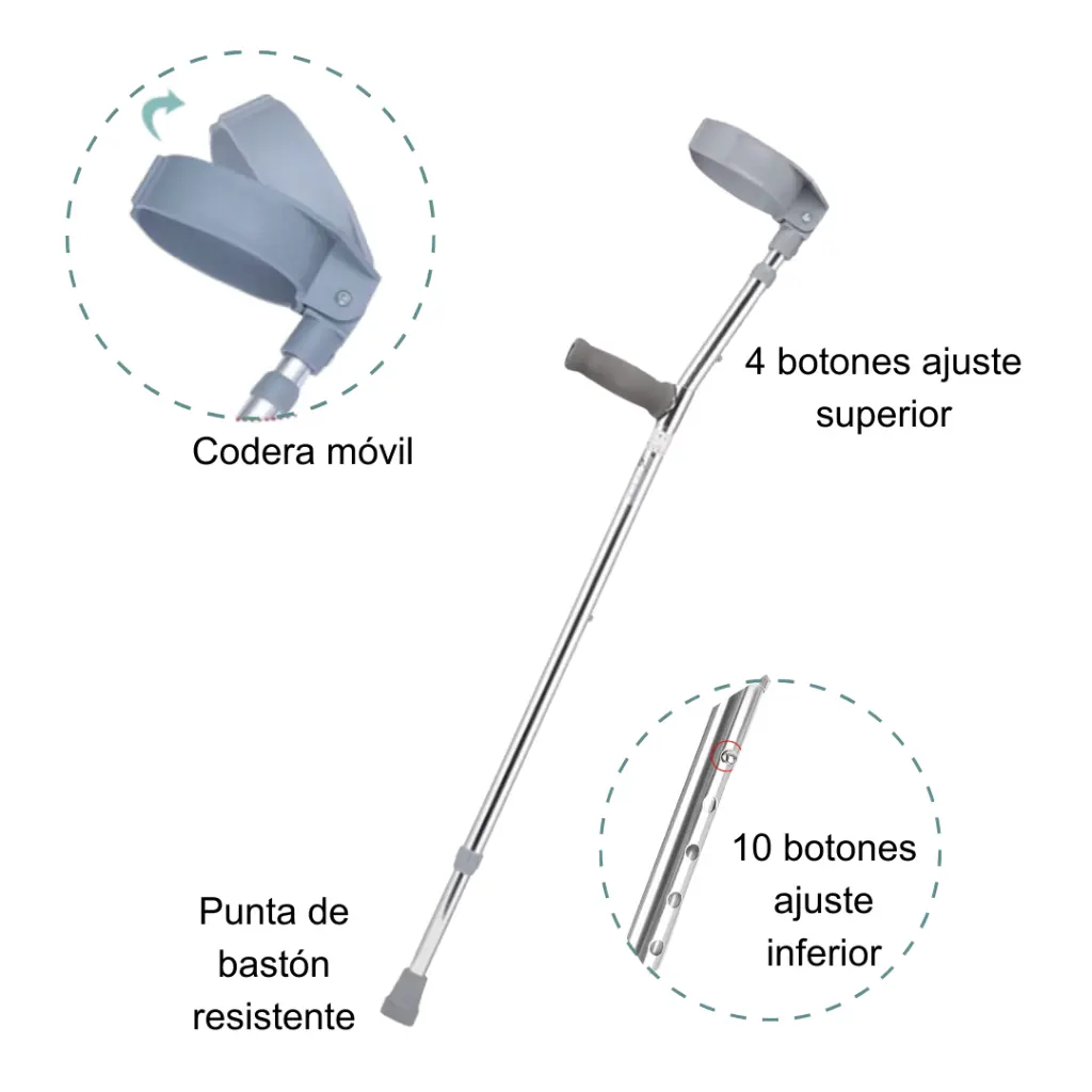 IMRW-0002 Baston canadiense_1.webp