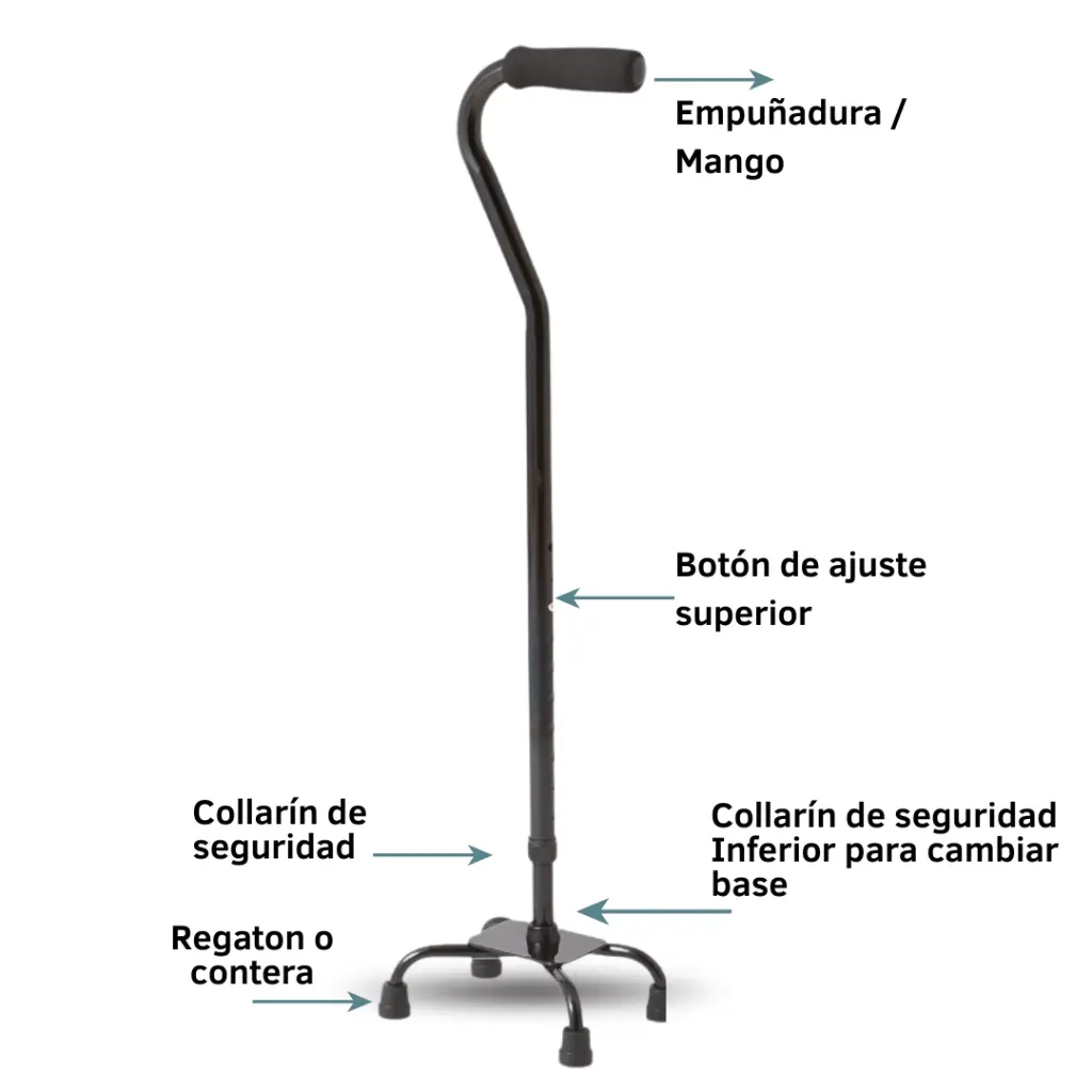 IMRW-0003-Bastón de apoyo de cuatro patas_2.webp
