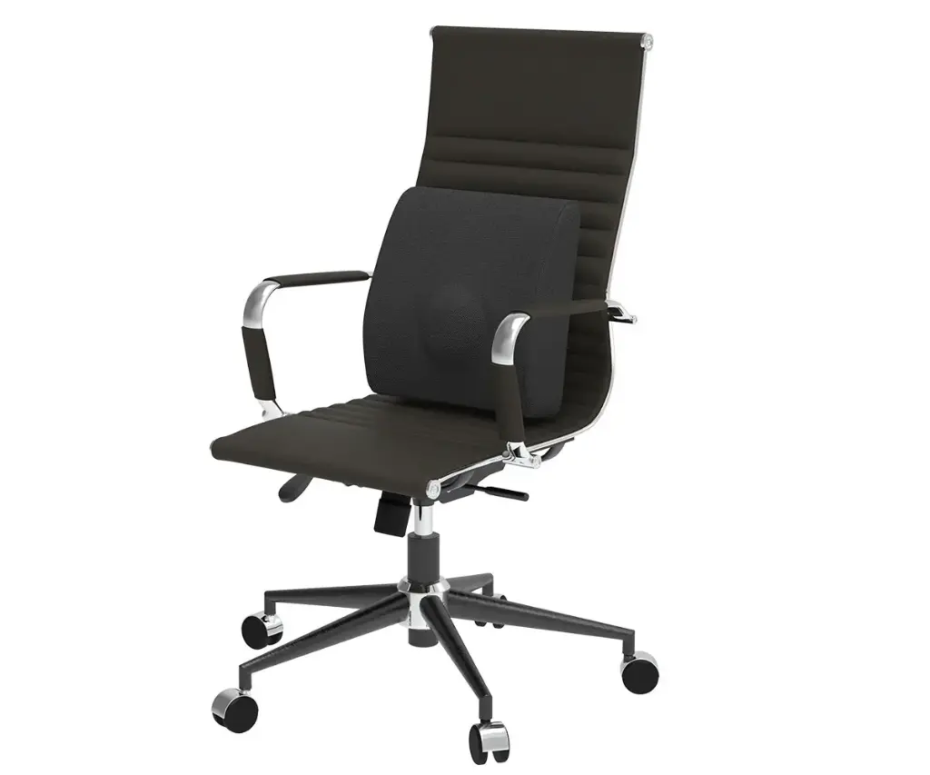 Cojín lumbar Therashape 