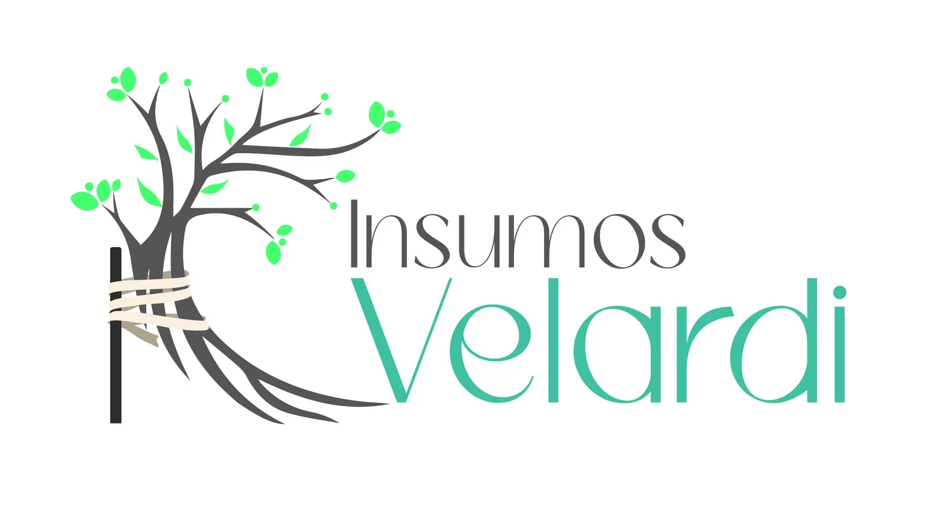 Insumos Velardi SPA