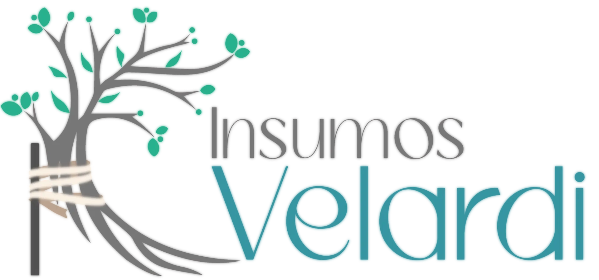 Insumos Velardi Spa